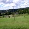 Campo de Golf Fco Beltrão-Pr