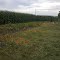 StinnerSummitPlot_2011