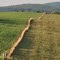 Farm