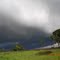 Temporal
