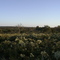 Área rural São Gabriel do Oeste