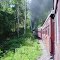 Tren María Fumaça - Brasil - Penetrando, en subida, un lugar de gran vegetación - ecm