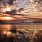 Reflexo