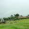 Sitio Ana Paula - Rodovia BR 262 em Anastácio/MS
