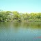 Rio Piquiri - Baia do Tucunaré