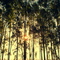 Pôr-do-sol