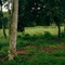Cerrado