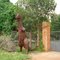 Tiranossaurus Rex in Brasília