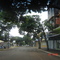 Centro de Terra Roxa - PR