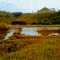 LAGOA DOURADA