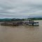 embarcação de gado no rio paraguai