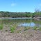 hidden pond. Facing west