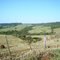 Vale do Ribeirão São Mateus - Distrito de Malu (Terra Boa - PR) 2