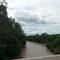 Rio Pirapó