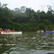 Anguila saliendo de Apepú