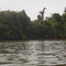 Puente en la selva