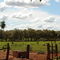 Bosque