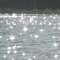 paraná river long island - stars over water