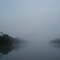 Neblina no Paraíso