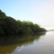 Natureza pura - 22/03/08 - Rio Paraná