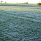 Geada (-2ºC) 25/07/2009