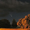 Horizontina - Cometa McNaught