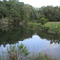 Our Pond
