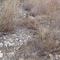 Rocky Creek