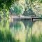 Guadaloupe River at Lazy L&L