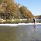 Fly Fishing for trout on the Guadalupe River