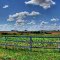 Plantations - Enlarge