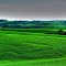 Fields