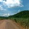 Estrada municipal (Ibaté-Rib.Bonito-SP)