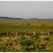 Neighboring farm to the East