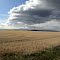 2012-06-18 - Clouds and field - Toole, MT, USA