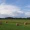 Hay rolls in a farm near Traverse City