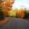 Elk Lake, Michigan ~  Fall Curves