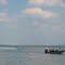 Lake Elk