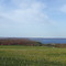 Old Mission Peninsula in Fall