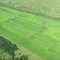 Verde - RS, Brasil.