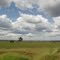 Pecuaria MS
