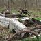 Riddled with bullet holes