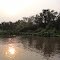 Margem do Rio Paraguai - Pantanal - MS