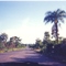 Rodovia BR 262- Campo Grande-Corumbá-MS