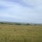 PARANÁ-BRASIL