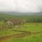 Massaranduba (SC)