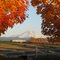 Mt Hood Fall Beauty