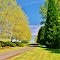 Victory Road