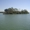 Rio Paraná