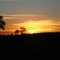 Por do Sol na FLN